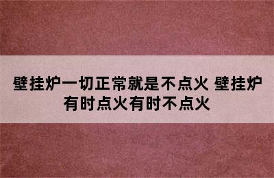 壁挂炉一切正常就是不点火 壁挂炉有时点火有时不点火